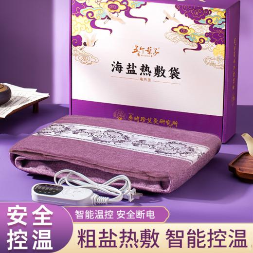 【新品】电加热盐袋海盐理疗袋子粗盐热敷包艾灸艾草肩颈椎腰部带家用盐包 商品图0
