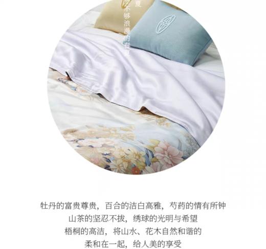 惠谊滑爽天丝™空调被 满溪江畔抗菌夏被 商品图3