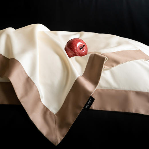 自然醒100支长绒棉Maillard美拉德系拼边枕套高奢款HS 商品图10