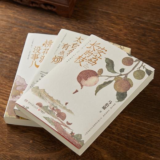 《长安的荔枝》《太白金星有点烦》《桃花源没事儿》豆瓣高分作品，当代打工人嘴替文学，职场通关套装！（预售10天发货）【G】 商品图1
