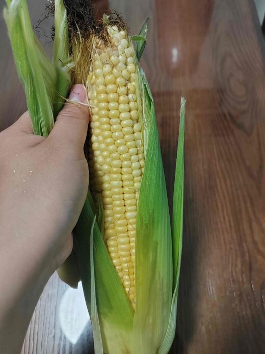 年卡时令套装菜箱 商品图8