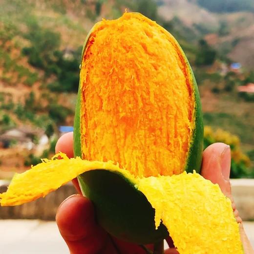 【云南椰香芒】需催熟 放软吃 香甜多汁 果肉滑嫩 独特的椰奶香气 奶香软糯 味美香甜 多种规格任选 商品图1