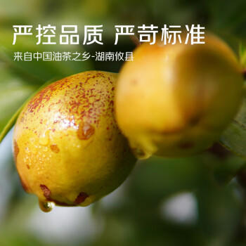 京觅【京东基地】保真山茶油 零反式脂肪有机压榨山茶油500ml*2 送礼 商品图1