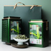 鼎茗荟丨2025年磻溪白毫银针 福鼎白茶 一级 50g/500g 商品缩略图5