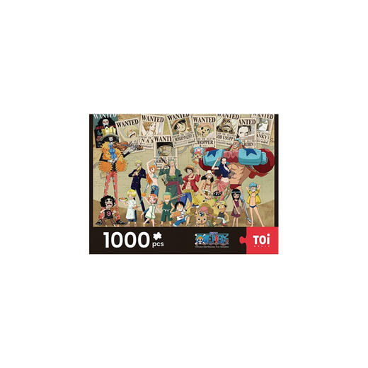 航海王-过去与现在 商品图0