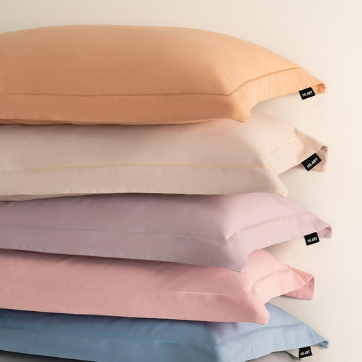 自然醒100支全棉磨毛纯色轻奢宽边枕头套枕芯内胆套HS 商品图9