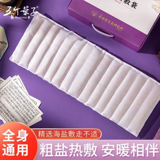 【新品】电加热盐袋海盐理疗袋子粗盐热敷包艾灸艾草肩颈椎腰部带家用盐包 商品图3