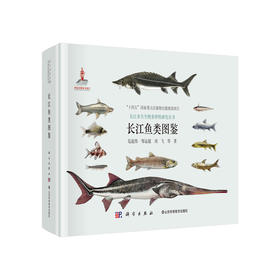 《长江鱼类图鉴》守护长江生命线：水生生物与生态保护全鉴系列 官方正版 -分销