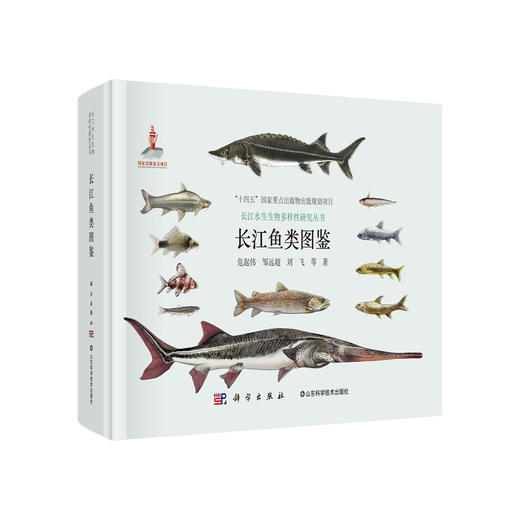 《长江鱼类图鉴》守护长江生命线：水生生物与生态保护全鉴系列 官方正版 -分销 商品图0