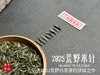 【极致之鲜】2025荒野米针带来白茶顶流的毫香诱惑，细柔、软糯、清润，每一口都是春天 商品缩略图3