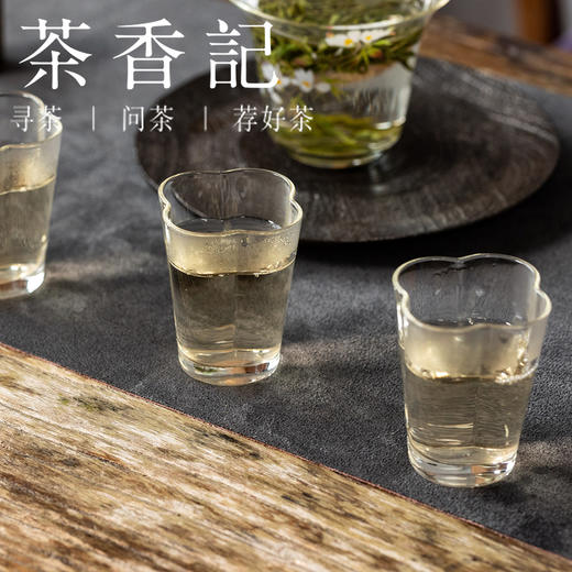 茶香记 荒野贡眉王025白茶群体种菜茶贡眉王高山荒野韵甜爽好喝 商品图4