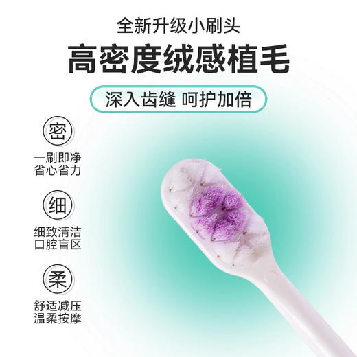 牙博士DR6205幻海绵密牙刷双支装 商品图1