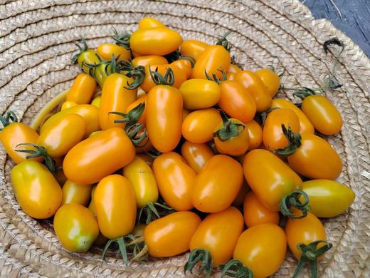 年卡时令套装菜箱 商品图6