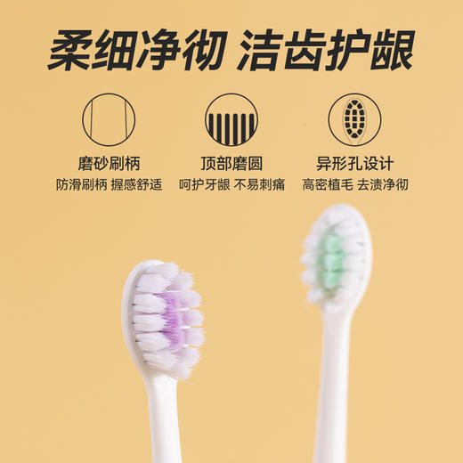 牙博士DR6202幻海细密牙刷双支装 商品图3