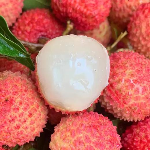 【快递】桂味荔枝 5斤/10斤 商品图1