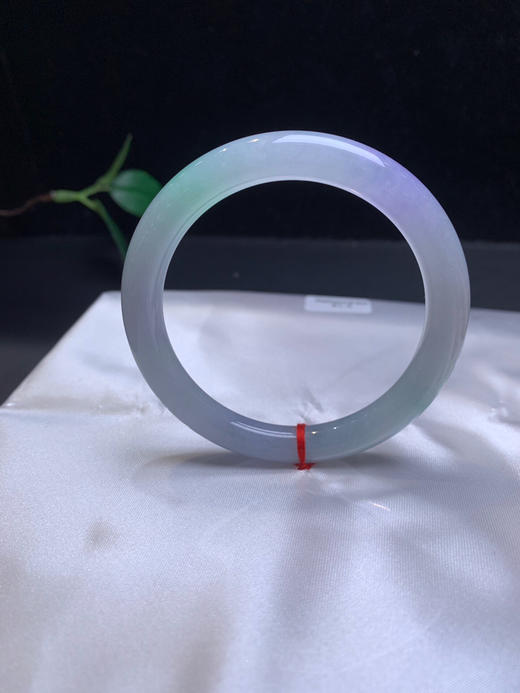 620221，51.5春彩细圆条，春彩特色细圆条 很有特色 一抹浓紫一抹清新绿 清新秀气 商品图3