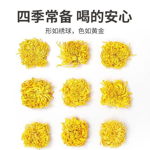 【方家铺子金丝皇菊】16g*1盒 自然晾晒而成 色泽金黄 朵形饱满 茶汤清澈透亮 商品图4