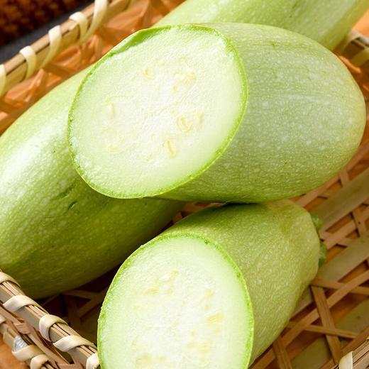 每日伊藤西葫芦瓜500g 商品图2