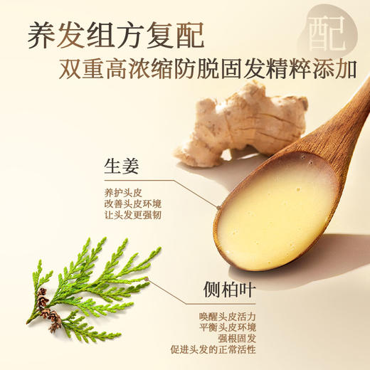 【新年秒杀】滋源旗下姜研之本生姜持证防脱洗发水500g(防脱固发) 商品图2