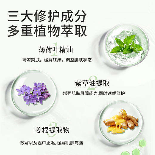 家德宝紫草舒缓膏12g 商品图3