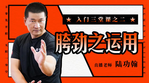 胯劲之运用 商品图0