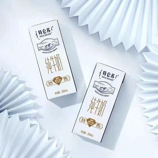 蒙牛 特仑苏纯牛奶 250ml*12 商品图4