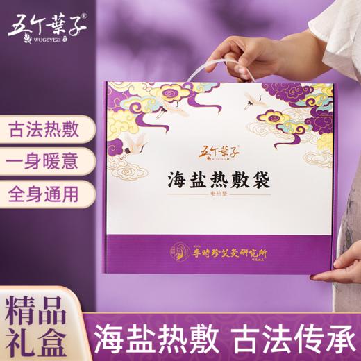 【新品】电加热盐袋海盐理疗袋子粗盐热敷包艾灸艾草肩颈椎腰部带家用盐包 商品图2