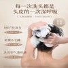 【商超同款断货王】伯纳乌清盈柔顺洗发水、伯纳乌水润去屑洗发水 525ml*2瓶 商品缩略图4