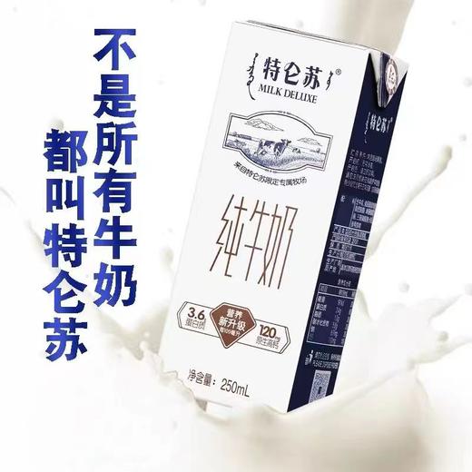 蒙牛 特仑苏纯牛奶 250ml*12 商品图3
