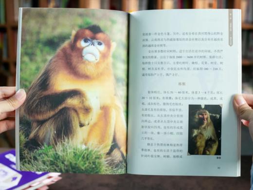 《中国大百科全书》（全新青少年版·礼盒装20册）10万+知识点，拓展孩子眼界和格局，上千名院士参与编撰，确保准确权威。 商品图6