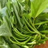 每日伊藤苕尖300g 商品缩略图2