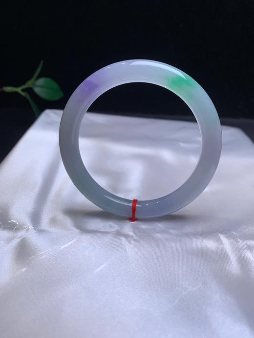 620221，51.5春彩细圆条，春彩特色细圆条 很有特色 一抹浓紫一抹清新绿 清新秀气 商品图2