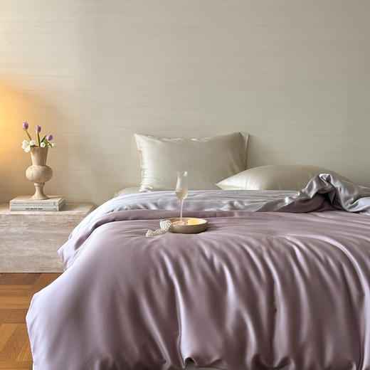 自然醒60支兰精天丝纯色双拼单品被套被罩HS 商品图2