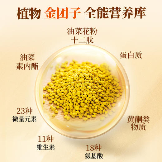 汪氏油菜花粉青海营养食用健康蜂花粉未破壁颗粒冻干 商品图1