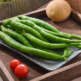 每日伊藤二荆条200g/份 线椒