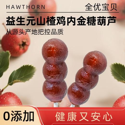 ⁶ 健康零食【益生元山楂糖葫芦】独立小包装 配料极简还含鸡内金 SS06-QTT-QYBB 商品图2