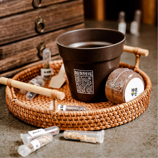 甲马系列咖啡渣盆栽盲盒 商品图1