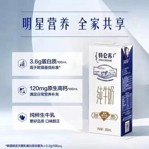 蒙牛 特仑苏纯牛奶 250ml*12 商品图2