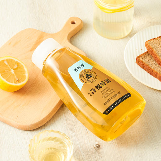 上海森蜂园洋槐蜂蜜1kg（三角瓶） 商品图5