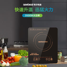 STP56 电磁炉/3500W