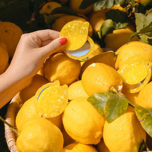 北京仓｜Coucou Suzette-Lemon-柠檬 镜子［法国设计师］ 商品图0