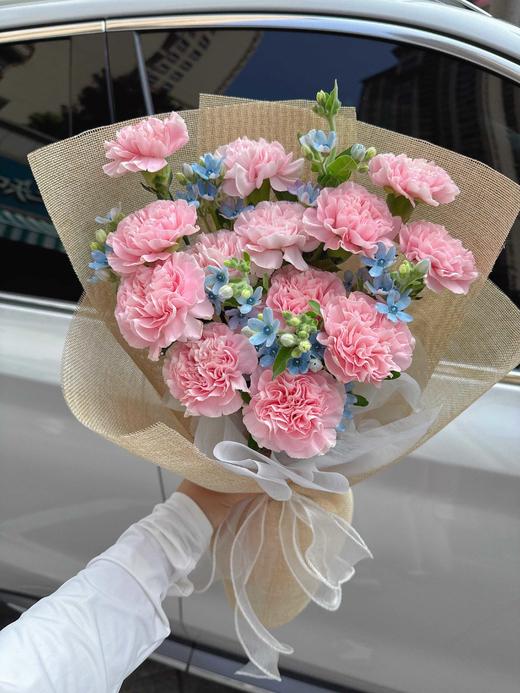 【予你】粉色康乃馨15支+蓝星花5支 商品图1