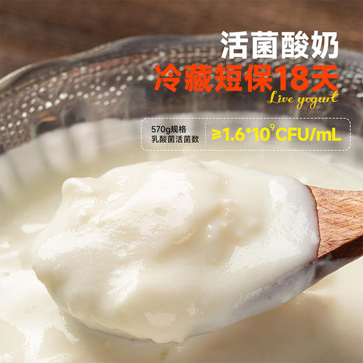 【内蒙古欧若姆奶皮子酸奶】活菌鲜酸奶 采用内蒙传统发酵工艺 每勺约有42亿活性益生菌AA 商品图3
