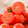 放心樱桃番茄350g 商品缩略图2