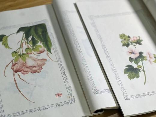 诗情画意之美 绘刻印之上乘 —《百花诗笺谱》 商品图9