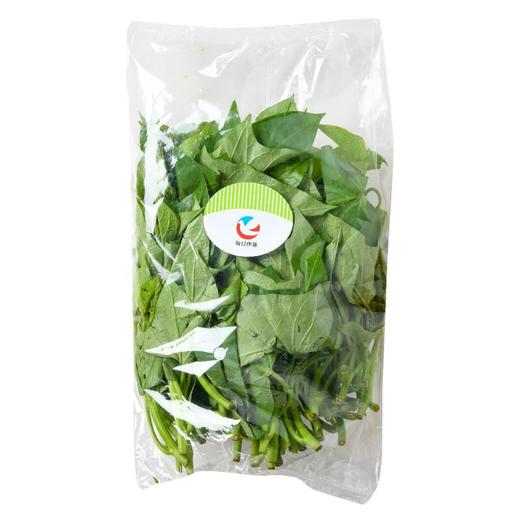 每日伊藤苕尖300g 商品图3