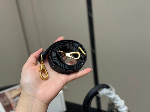 F641枕头包迪AO顶级原单 商品图3