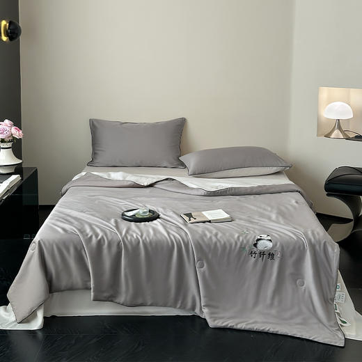 南方生活天竹刺绣蚕蛹蛋白夏被200*230cm熊猫白/冰咖/冰粉/绅士灰/冰蓝 商品图6