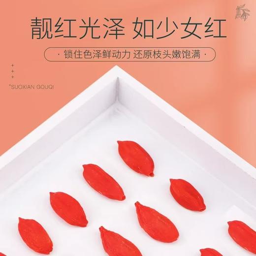 玺赞锁鲜枸杞王家庭实惠装，玺赞庄园专注滋补只为一颗好枸杞，宁夏中宁核心产区的超大颗粒鲜枸杞，枸杞锁鲜技术革新，脉动真空，干制技术保鲜，适度保留枸杞鲜果水分，入口绵柔甘甜，吃一粒干果，获取鲜果的营养~ 商品图4