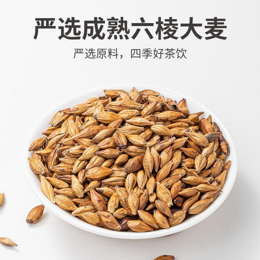 【方家铺子大麦茶】500g*1瓶 严选成熟大麦 浓郁麦香 醇厚美味 商品图3